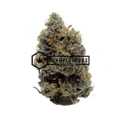 Astro Pink - Online Dispensary Canada - Buyweedpacks