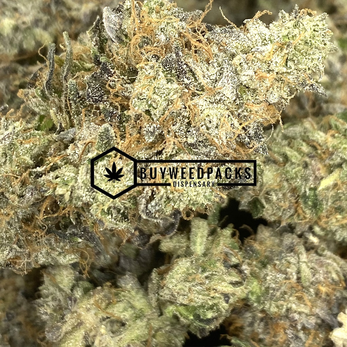 Astro Pink - Online Dispensary Canada - Buyweedpacks