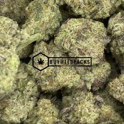 Blueberry - Online Dispensary Canada - Buyweedpacks