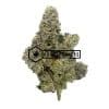 Death Star OG - Online Dispensary Canada - Buyweedpacks