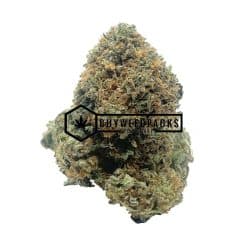 Elmer's Glue - Online Dispensary Canada - Buyweedpacks