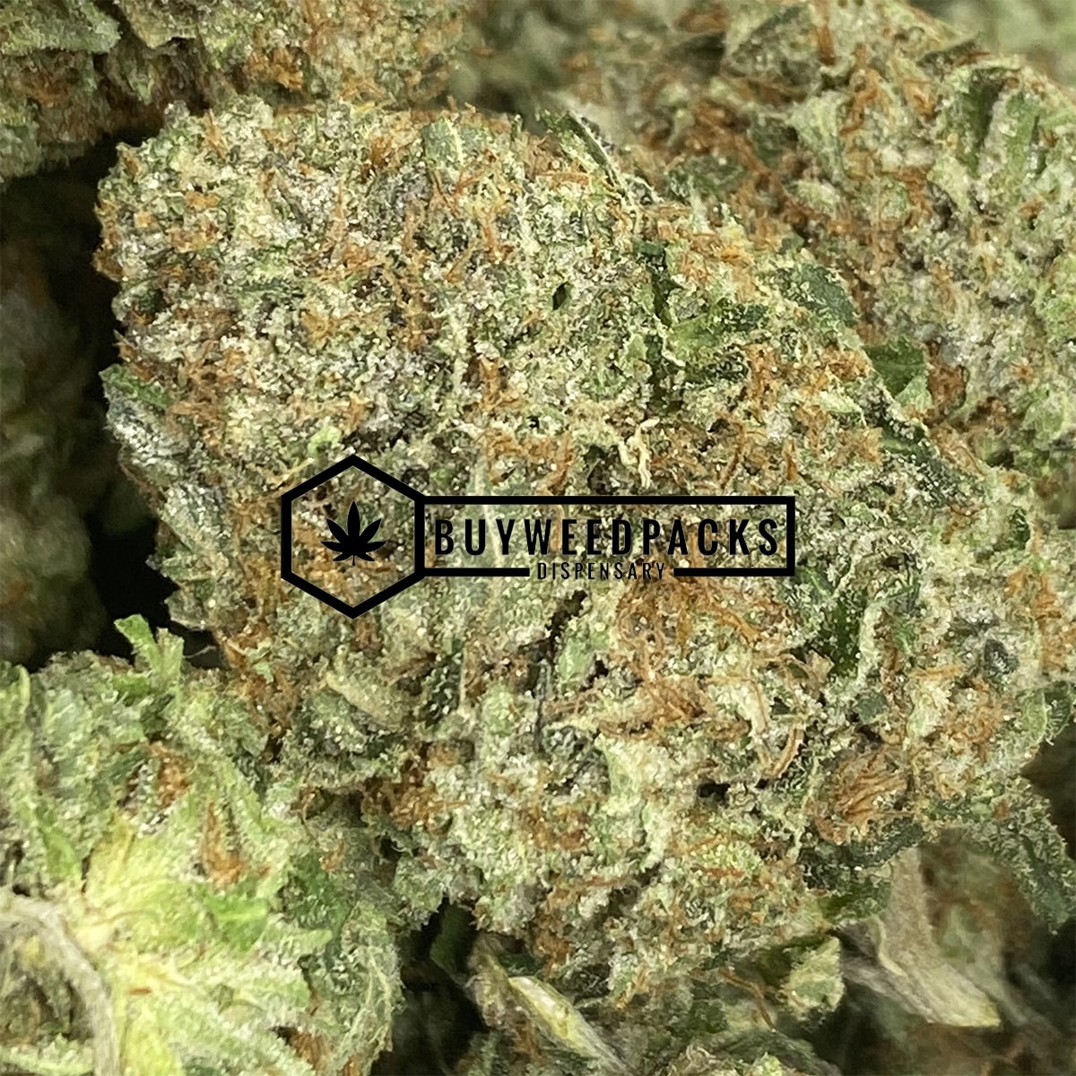 Elmer's Glue - Online Dispensary Canada - Buyweedpacks