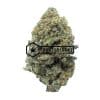 Gelato Cookies - Buy Weed Online - Buyweedpacks