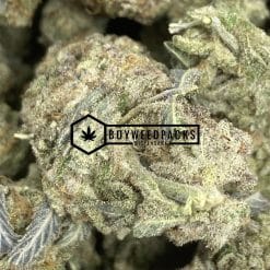Gelato Cookies - Buy Weed Online - Buyweedpacks