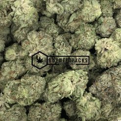 Gorilla Glue #4 - Online Dispensary Canada - Buyweedpacks