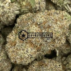 Grape Sorbet - Online Dispensary Canada - Buyweedpacks