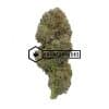 Icewreck - Online Dispensary Canada - Buyweedpacks