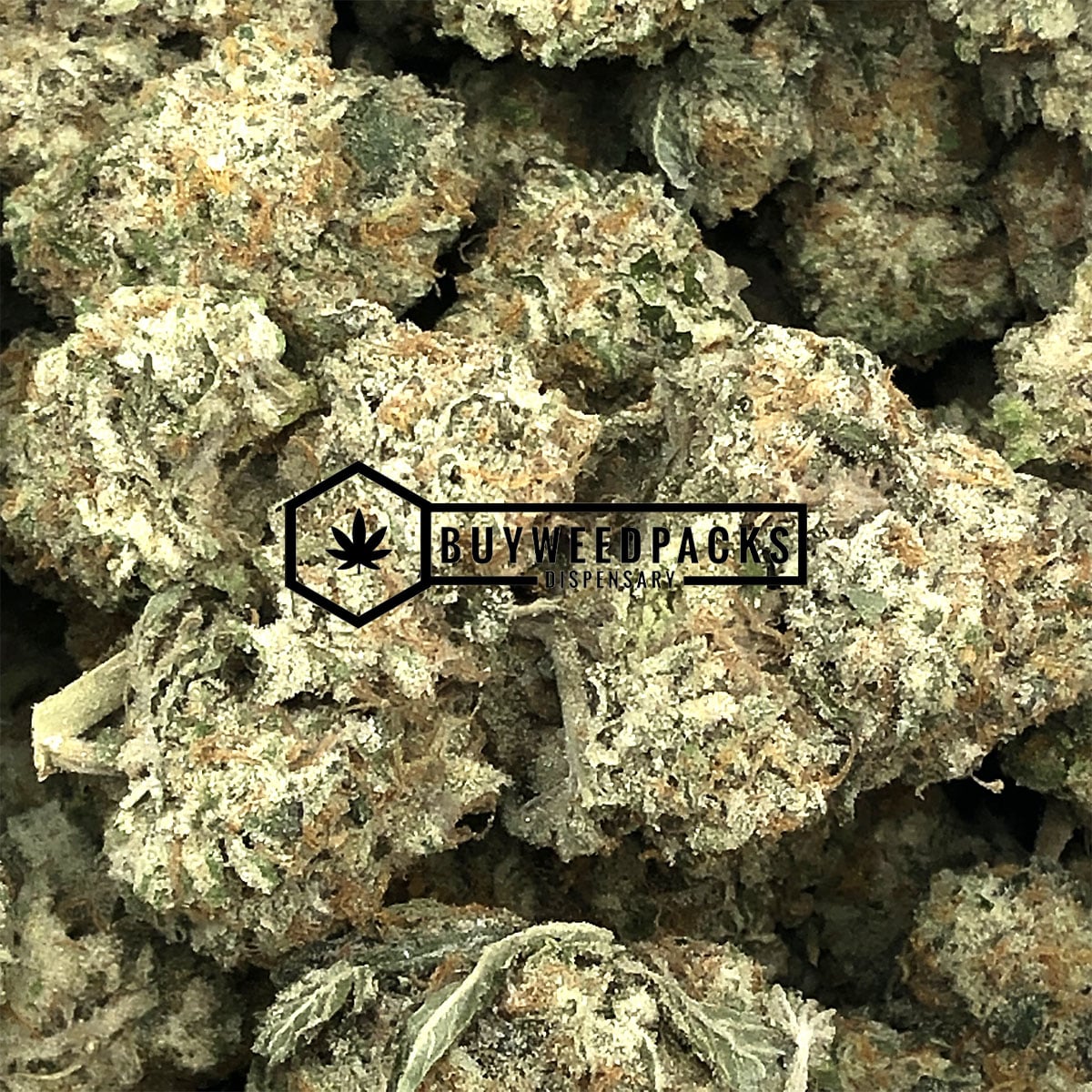 Italian Ice - Online Dispensary Canada - Buyweedpacks