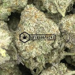 Juicy Wreck - Online Dispensary Canada - Buyweedpacks