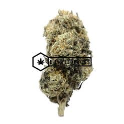 SR-71 PK - Online Dispensary Canada - Buyweedpacks