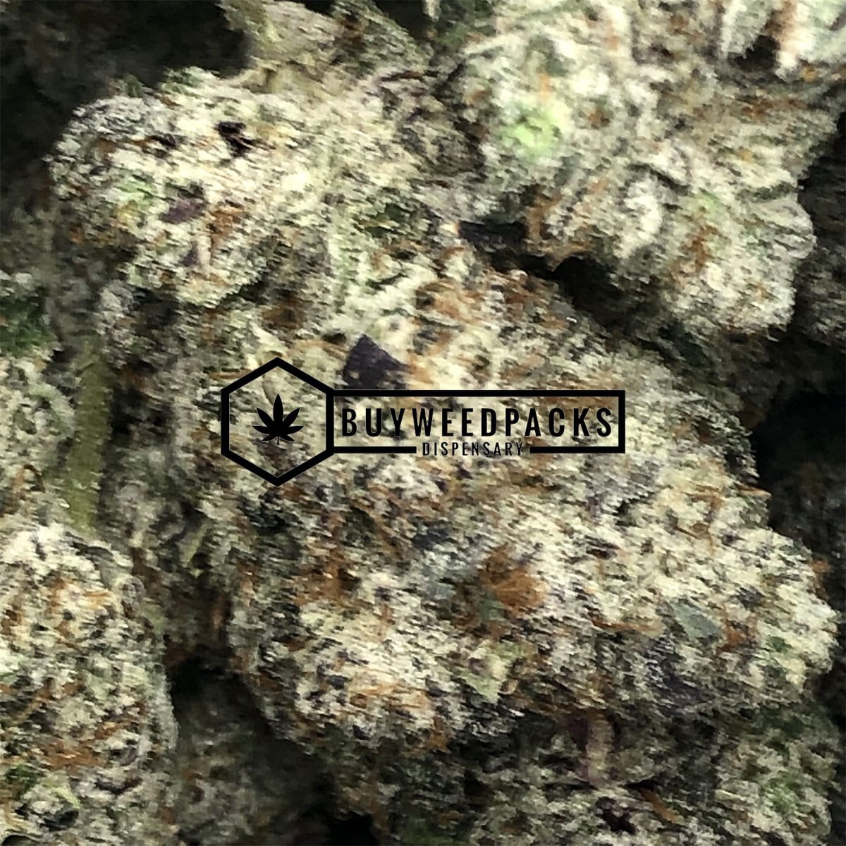 Snoop's Dream - Online Dispensary Canada - Buyweedpacks