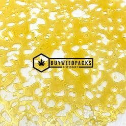 Tangerine Dream Shatter - Buy Weed Online - Buyweedpacks