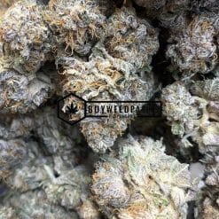White Widow | Buy Online Weeds | Buyweedpacks