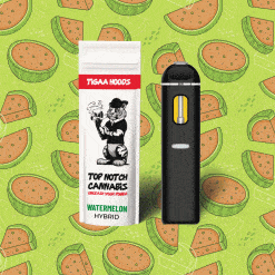 Watermelon - 2ML THC