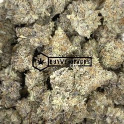 Brownie Scout - Buy Weed Online - Buyweedpacks