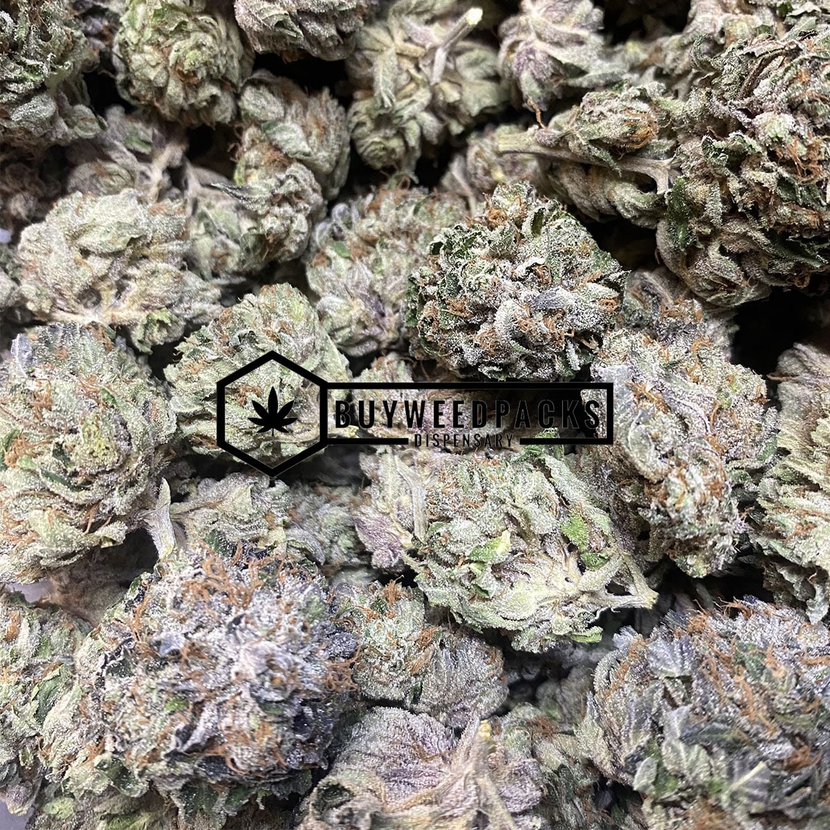 EL Jefe - Buy Weed Online - Buyweedpacks