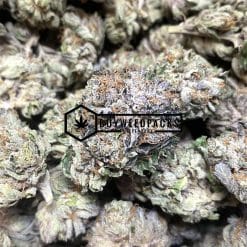 EL Jefe - Buy Weed Online - Buyweedpacks