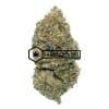 MAC 10 - Buy Weed Online - Buyweedpacks