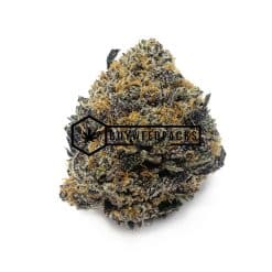 Peanut Butter Rockstars | Buy Online Weeds | Buyweedpacks