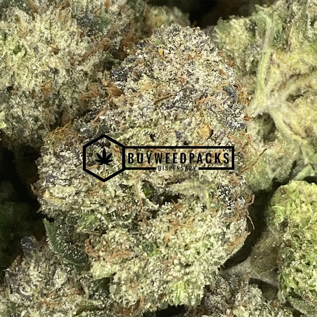 Pink Rockstar | Buy Online Weeds | Buyweedpacks