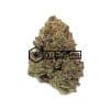 Purple Gelato - Buy Weed Online - Buyweedpacks