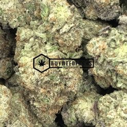 Purple Gelato - Online Dispensary Canada - Buyweedpacks