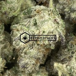 Purple Kush - Buy Live Resin Online - Buyweedpacks