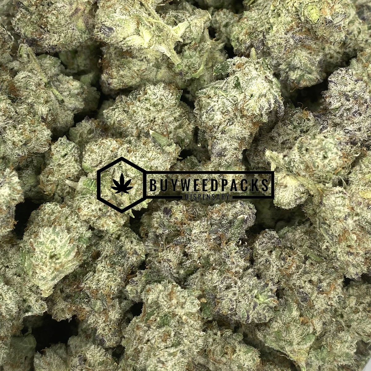 Purple Kush - Buy Live Resin Online - Buyweedpacks