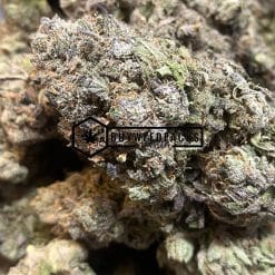 Purple Runtz - Buy Weed Online - Buyweedpacks