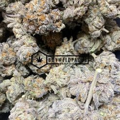 Apple Fritter - Online Dispensary Canada - Buyweedpacks