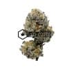 Apple Fritter - Online Dispensary Canada - Buyweedpacks