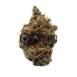 Cactus Breath | Buy Online Weeds | Buyweedpacks