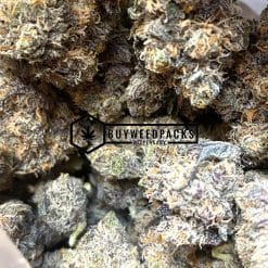 Cactus Breath | Buy Online Weeds | Buyweedpacks