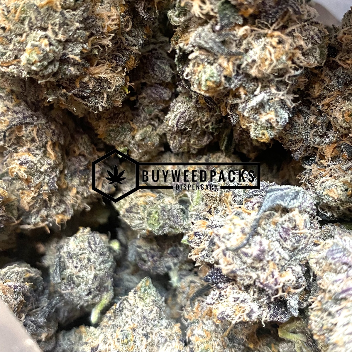 Cactus Breath | Buy Online Weeds | Buyweedpacks