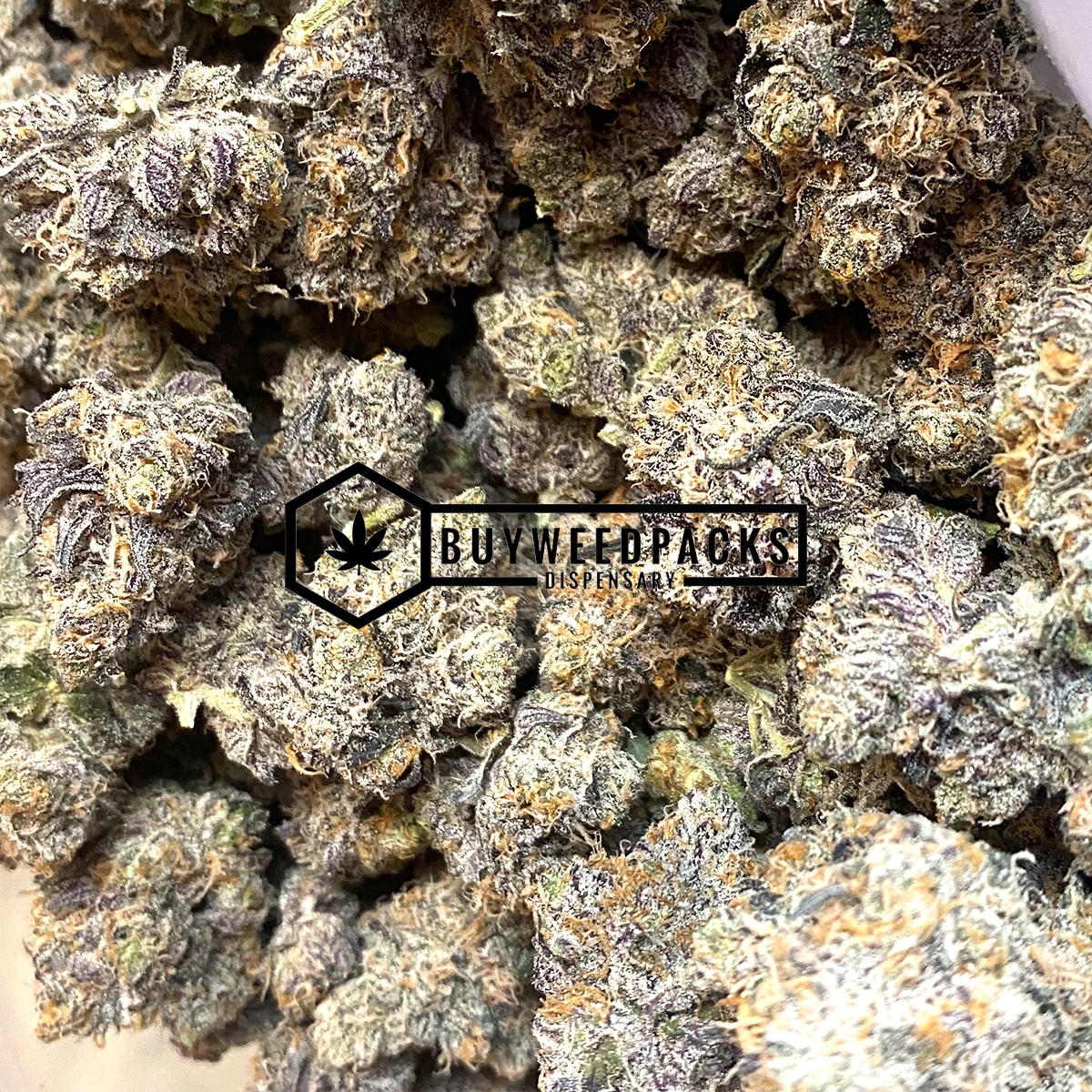 Cactus Breath | Buy Online Weeds | Buyweedpacks