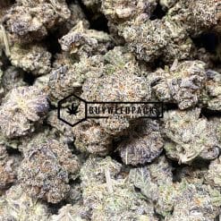 Gary Payton | Buy Online Weeds | Buyweedpacks