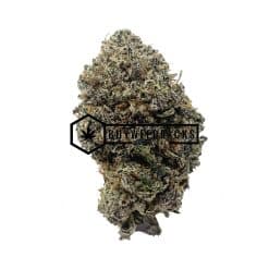 Gary Payton | Buy Online Weeds | Buyweedpacks