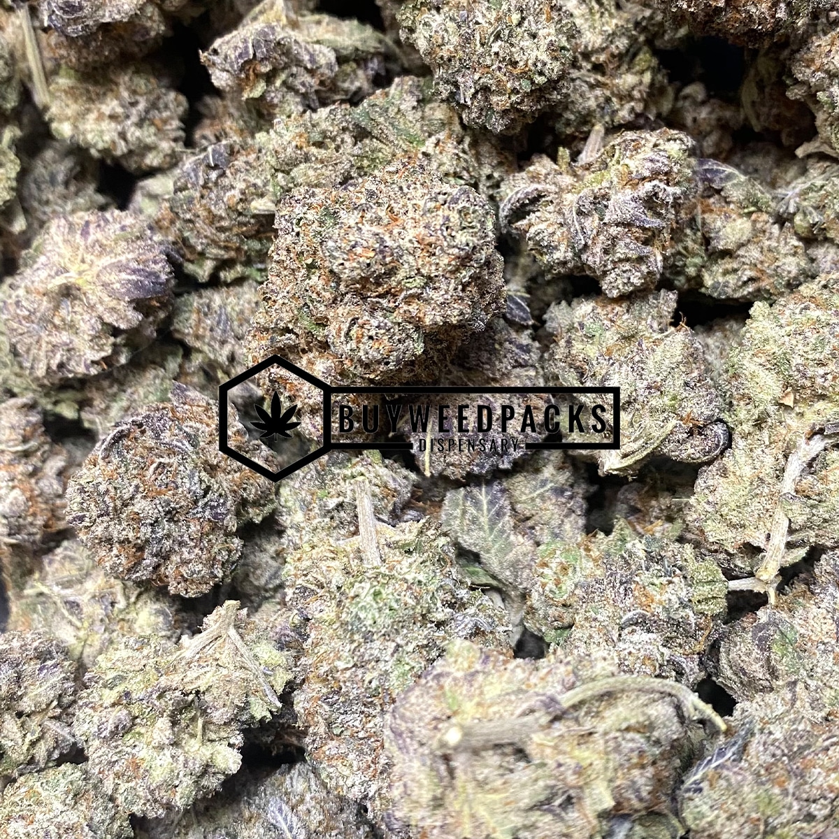 Gary Payton | Buy Online Weeds | Buyweedpacks