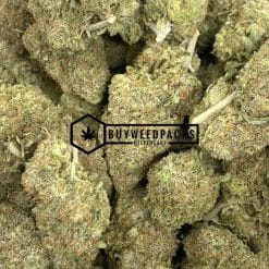 Gelato - Online Dispensary Canada - Buyweedpacks