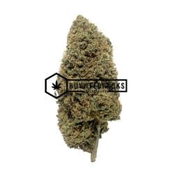 Gelato - Online Dispensary Canada - Buyweedpacks