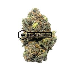 Jungle Cake | Buy Online Weeds | Buyweedpacks