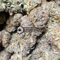 London Poundcake | Buy Online Weeds | Buyweedpacks