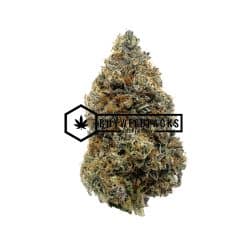 London Poundcake | Buy Online Weeds | Buyweedpacks