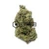 Pink Runtz - Online Dispensary Canada - Buyweedpacks