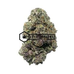 Platinum Blueberry - Online Dispensary Canada - Buyweedpacks
