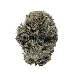 Platinum Pinks - Online Dispensary Canada - Buyweedpacks