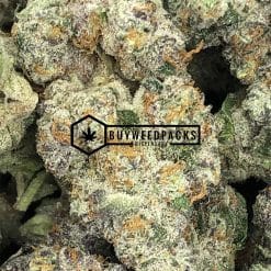 Purple Hindu Kush - Buy Weed Online - Buyweedpacks