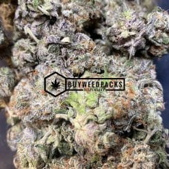 Purple Trainwreck | Buy Online Weeds | Buyweedpacks