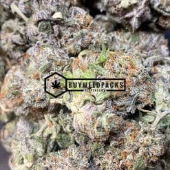 Purple Trainwreck | Buy Online Weeds | Buyweedpacks