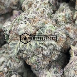 Alternative view of Shishkaberry